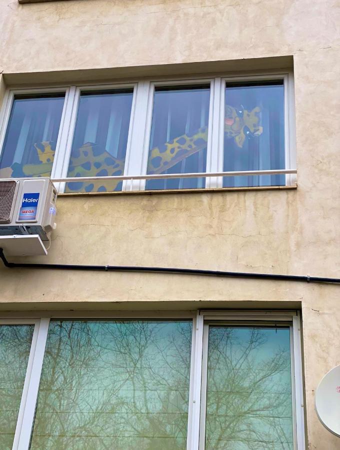 Spacious Apartment Next To South Park Просторен Апартамент До Южен Парк Top Location Sofia Bagian luar foto